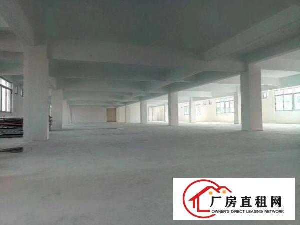  蔡白一楼5001500平方厂房出租