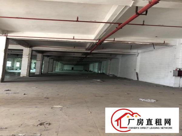  蔡白一楼5001500平方厂房出租