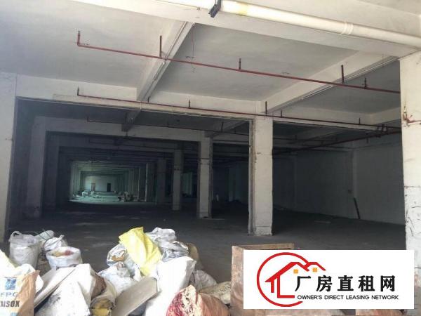  蔡白一楼5001500平方厂房出租