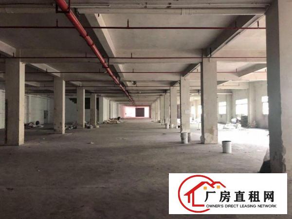  蔡白一楼5001500平方厂房出租