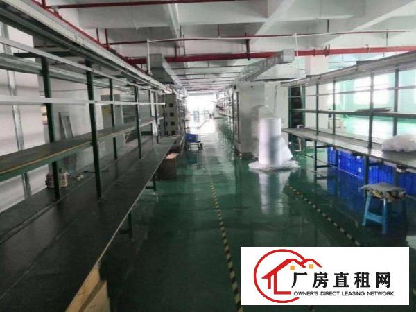  蔡白红本厂房，有喷淋，1000平方，合适电子行业！