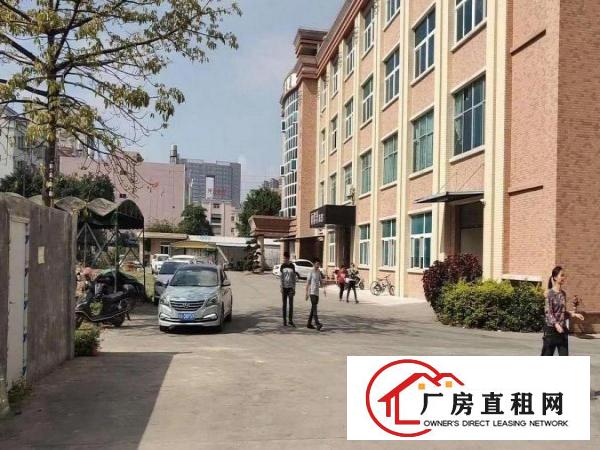  蔡白红本厂房，有喷淋，1000平方，合适电子行业！