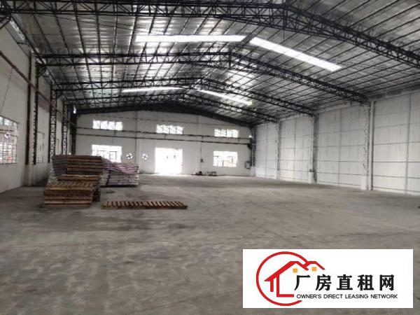  道滘原房东独院厂房出租3700平，滴水8米，可以分租价格美丽