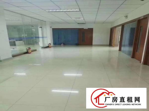  道滘原房东独院厂房出租3700平，滴水8米，可以分租价格美丽