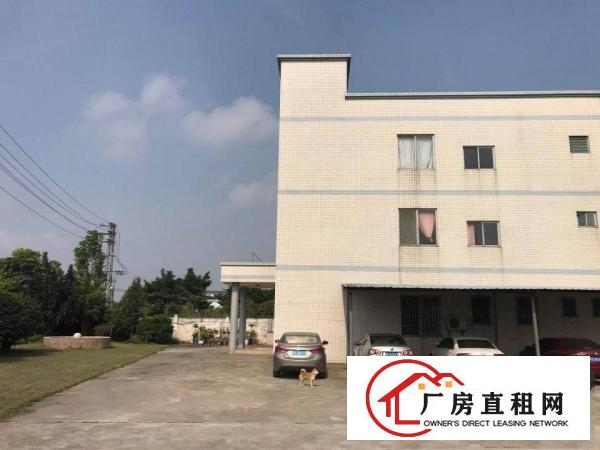  砖墙单一层1300平方厂房仓库出租滴水高度八米空地大柱子少