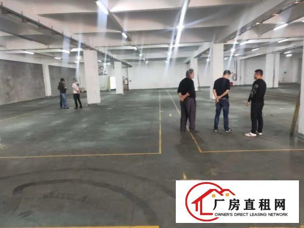  闸口一楼2080招租豪华装修水电齐全可办环评