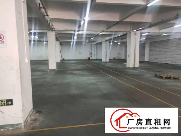  闸口一楼2080招租豪华装修水电齐全可办环评