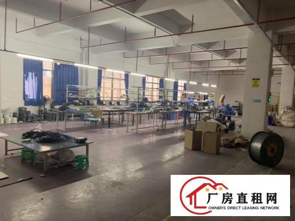  南丫新出精装修1500平厂房两个全新货梯，可办环评
