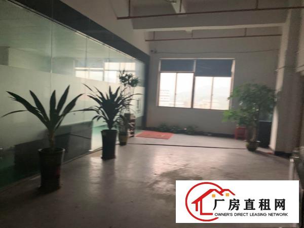  南丫新出精装修1500平厂房两个全新货梯，可办环评