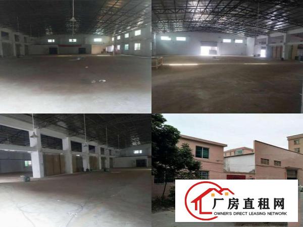  望牛墩、麻涌大量独院一楼厂房仓库出租