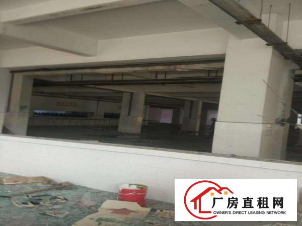  望牛墩、麻涌大量独院一楼厂房仓库出租