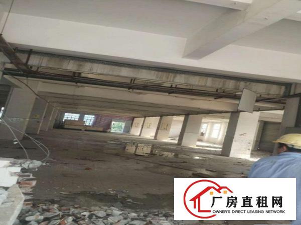  望牛墩、麻涌大量独院一楼厂房仓库出租