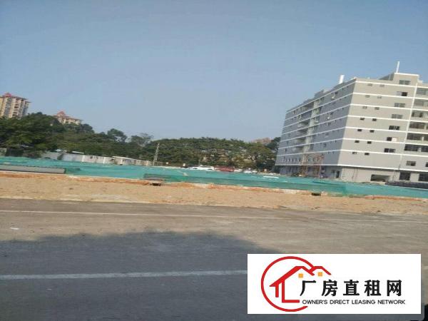  望牛墩、麻涌大量独院一楼厂房仓库出租