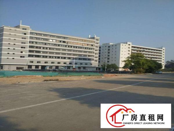  望牛墩、麻涌大量独院一楼厂房仓库出租