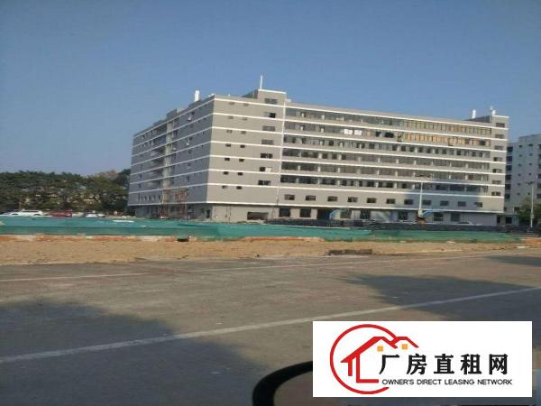  望牛墩、麻涌大量独院一楼厂房仓库出租