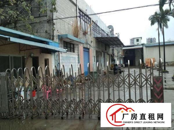  东莞麻涌大盛厂房出租