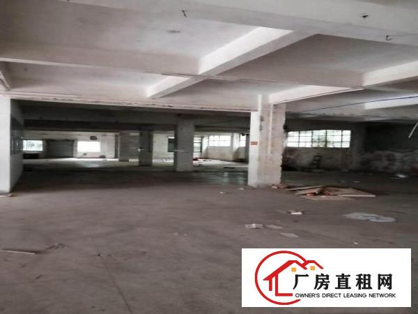 东莞麻涌大盛厂房出租