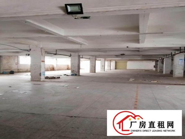  东莞麻涌大盛厂房出租