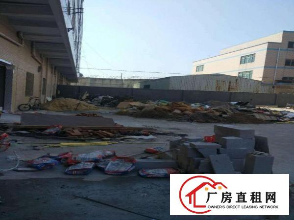  中堂、麻涌、望牛墩大量厂房低价出租