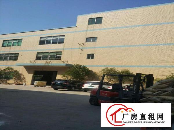  中堂、麻涌、望牛墩大量厂房低价出租