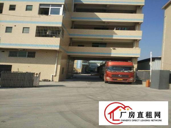  中堂、麻涌、望牛墩大量厂房低价出租