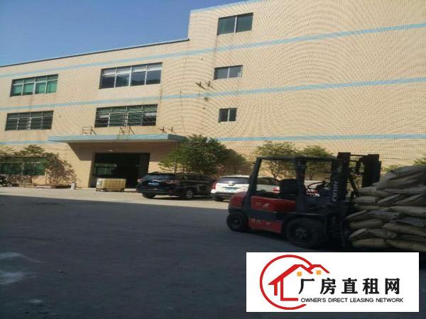  中堂、麻涌、望牛墩大量厂房低价出租