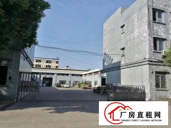  中堂、麻涌、望牛墩大量厂房低价出租