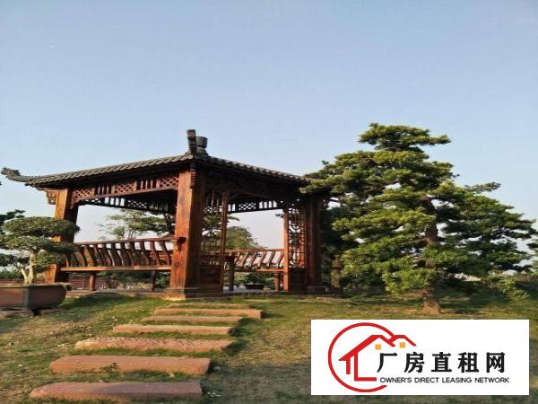  麻涌镇独院厂房仓库出租（厂9000平，空地大）