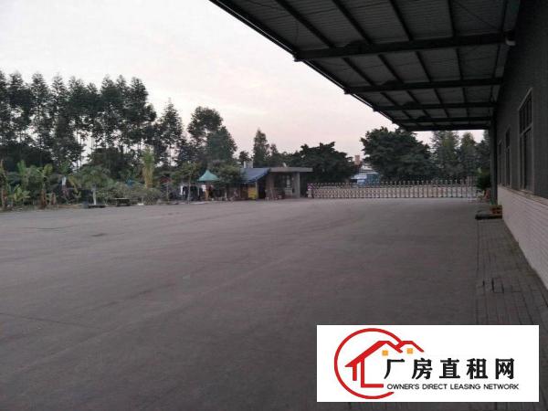  麻涌镇独院厂房仓库出租（厂9000平，空地大）