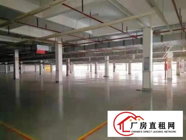  麻涌镇新沙港22000平方厂房出租