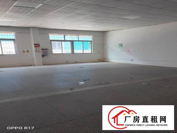  麻涌新出300单一层，有现成办公室，现成装修，