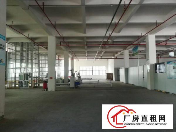  麻涌镇豪丰电镀园旁32000方厂房可分租（2000方起）