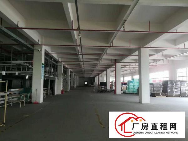  麻涌镇豪丰电镀园旁32000方厂房可分租（2000方起）