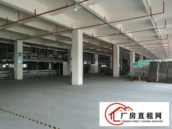  麻涌镇豪丰电镀园旁32000方厂房可分租（2000方起）