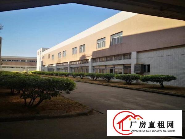  麻涌镇大路边2000平方一搂厂房出租（可分租1000平方）