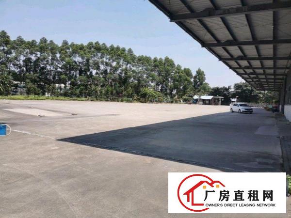  麻涌新出仓储或小加工钢结构滴水9米短租或2-3年