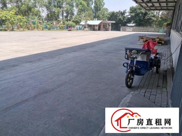 麻涌新出仓储或小加工钢结构滴水9米短租或2-3年