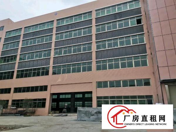  麻涌标准厂房仓库出租