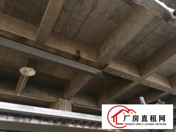  麻涌水乡大道新沙工业区仓库铺位业主非中介