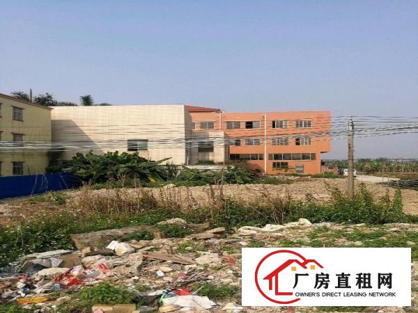  麻涌水乡大道新沙工业区仓库铺位业主非中介