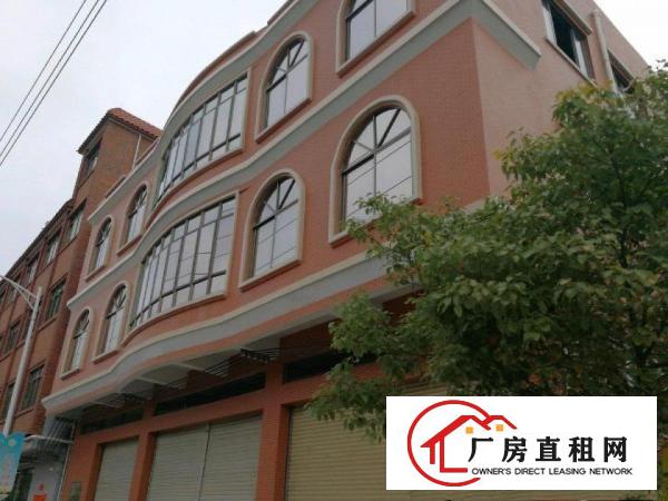  麻涌水乡大道新沙工业区仓库铺位业主非中介
