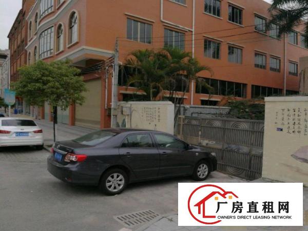  麻涌水乡大道新沙工业区仓库铺位业主非中介