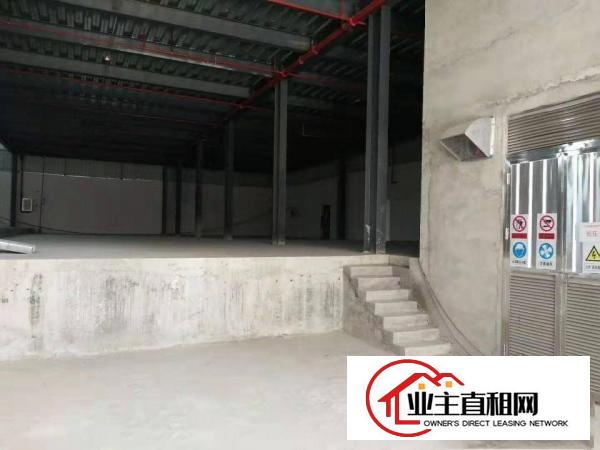  麻涌镇大量厂房、仓库出租(可分租1000平方起