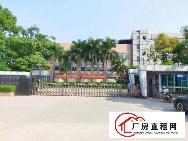  东莞大量厂房办公楼出租，价钱便靚正