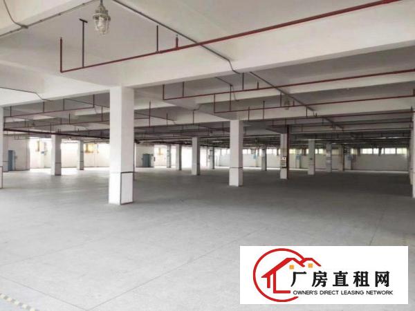  东莞大量厂房办公楼出租，价钱便靚正
