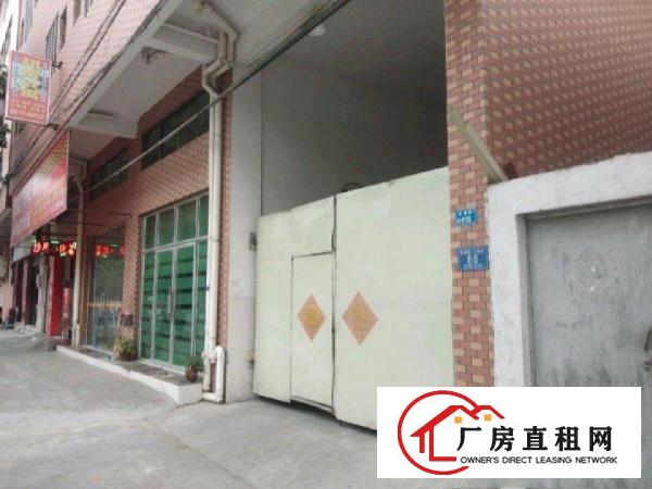  中堂镇独门独院工业用地厂房