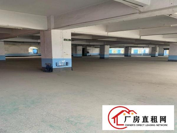  中堂11元/平方厂房出租可做五金生产仓库等