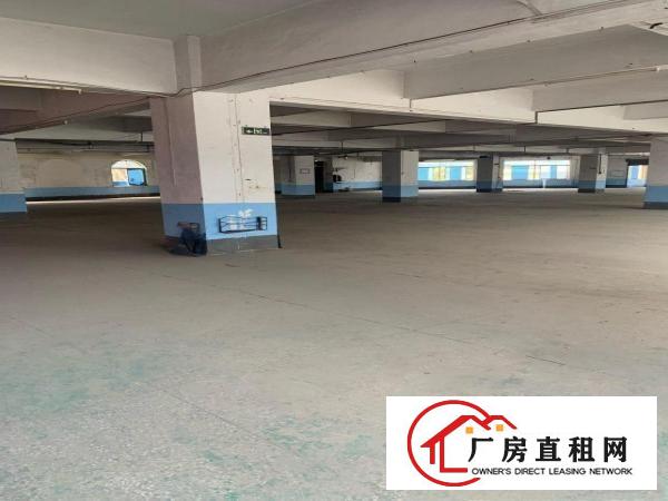  中堂11元/平方厂房出租可做五金生产仓库等