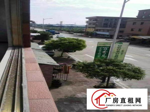  中堂镇下芦村厂房720平方出租！2月、3月份免租金！！