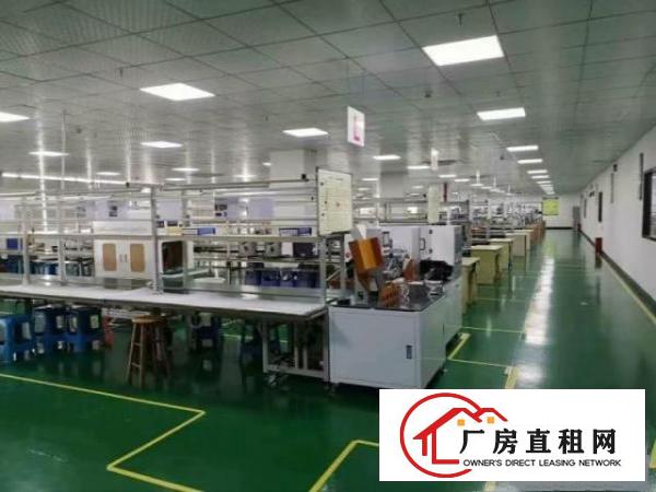  中堂镇多套标准车间按需分租500100015002
